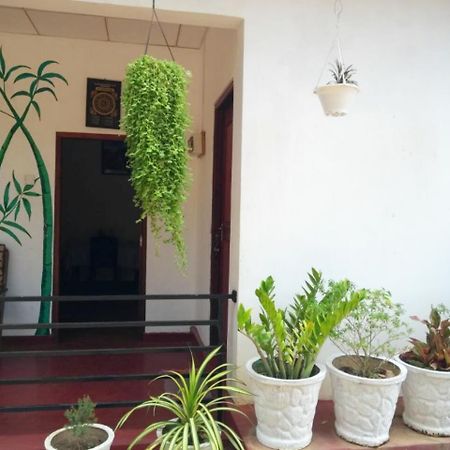 Pawansa Home Stay Хабарана Екстер'єр фото
